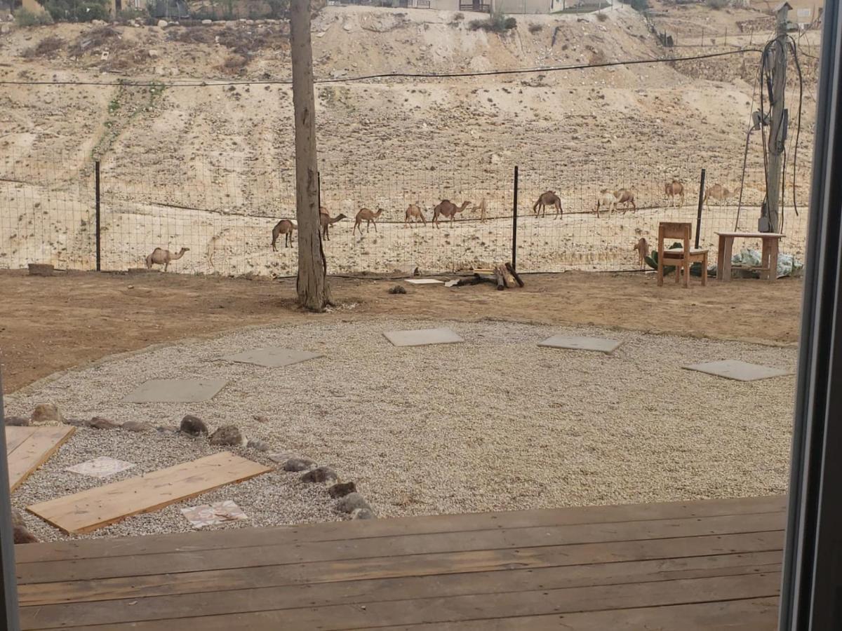 Moonlight Suite Arad צימר אור הירח, ערד Exterior foto